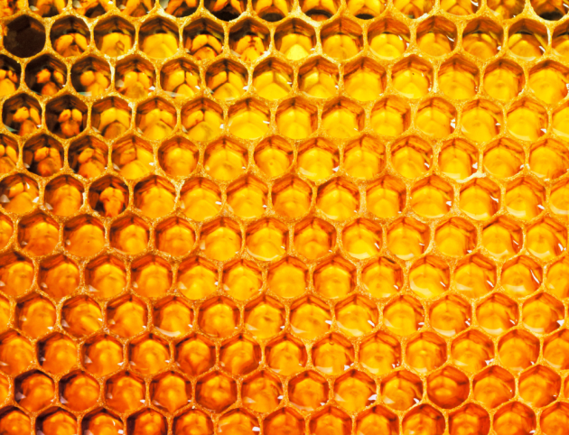 bee2 bee2